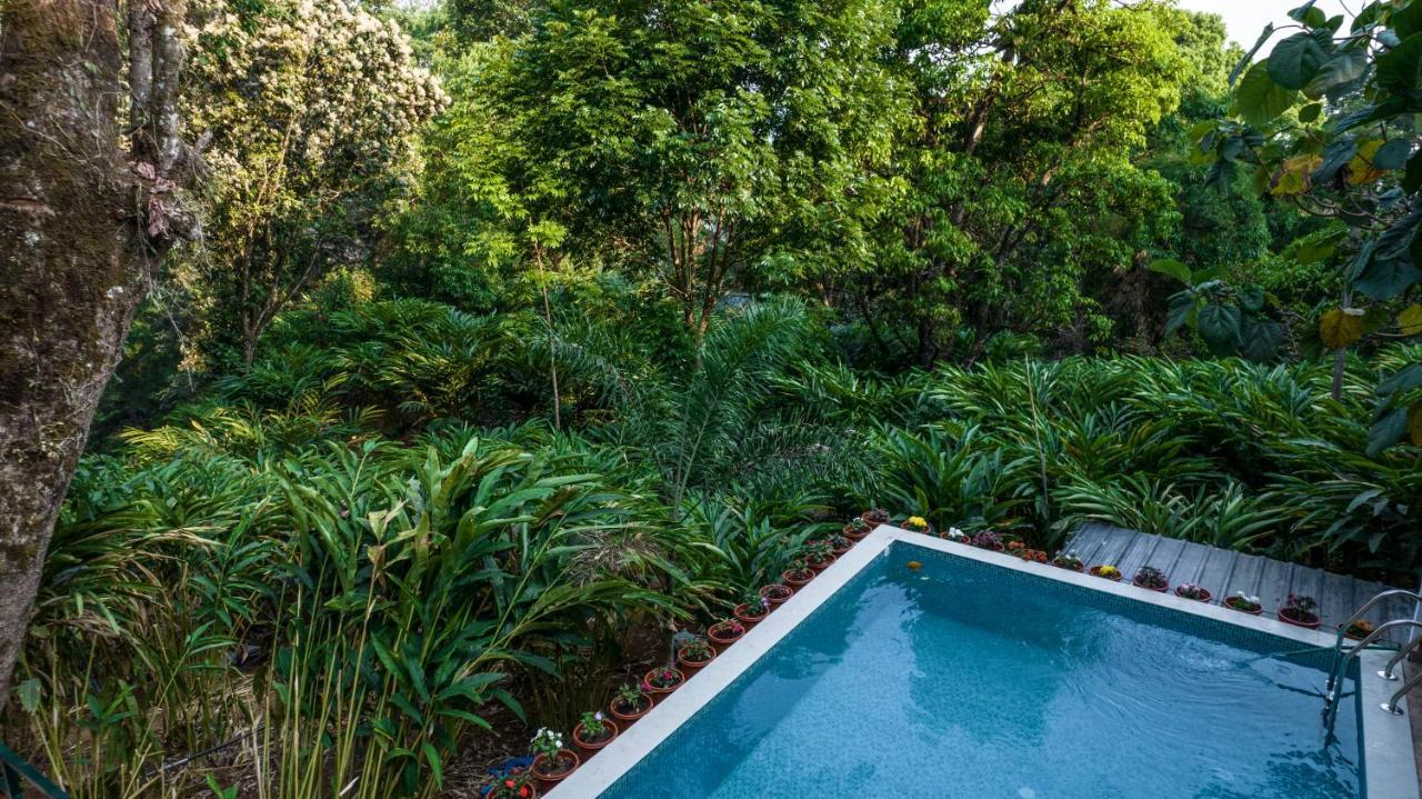 Spice Jungle Resort Munnar Ngoại thất bức ảnh