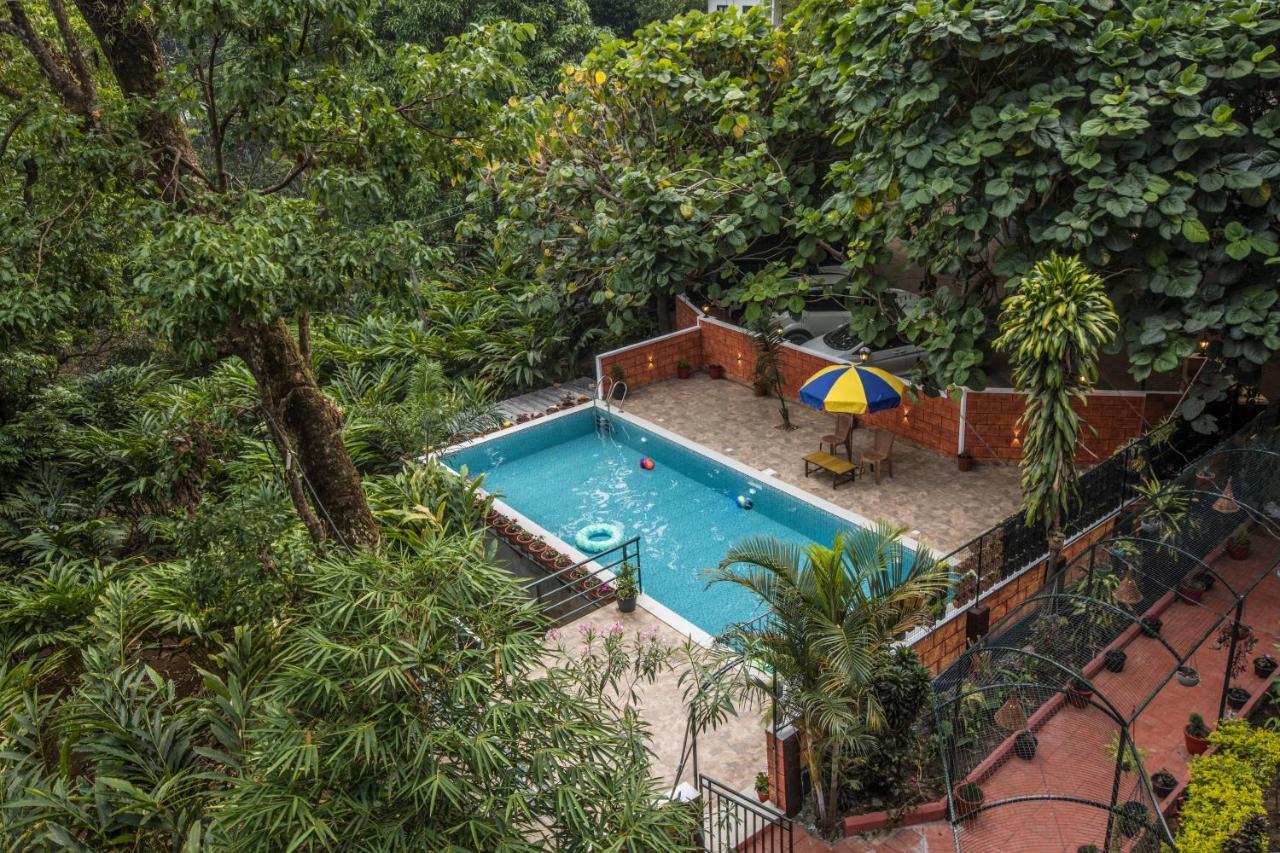 Spice Jungle Resort Munnar Ngoại thất bức ảnh