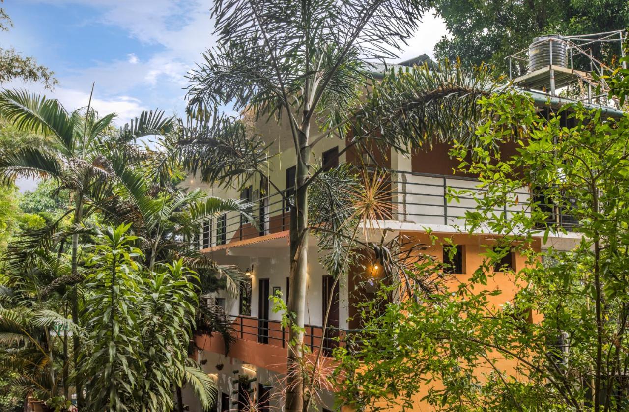 Spice Jungle Resort Munnar Ngoại thất bức ảnh